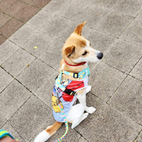 画像1303