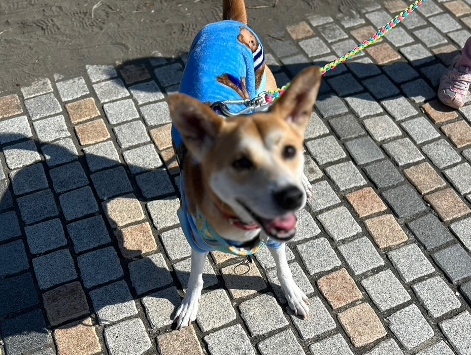 画像1455