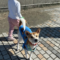 画像1456
