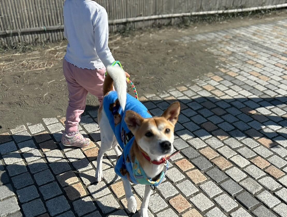 画像1456