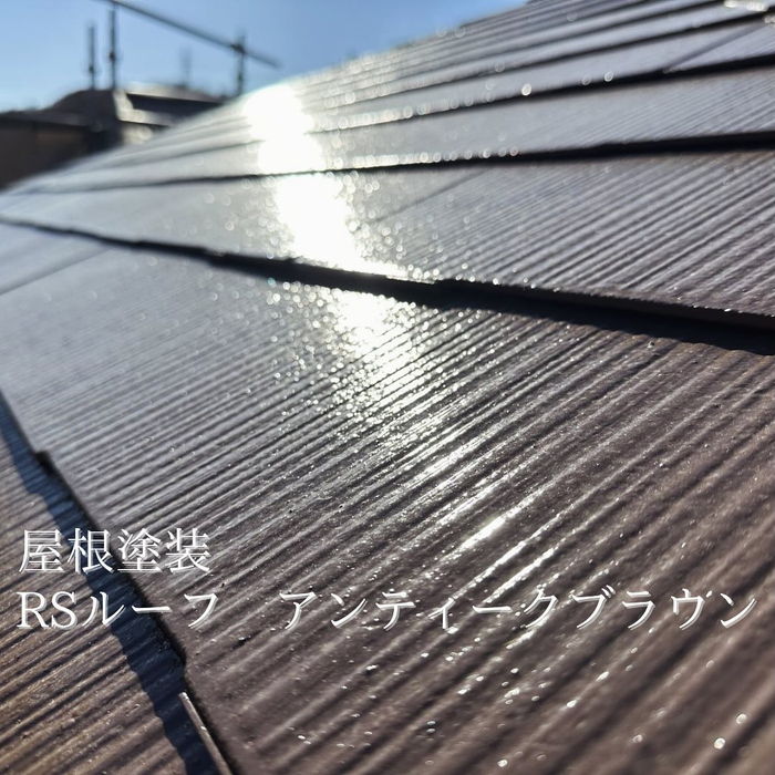 画像1541