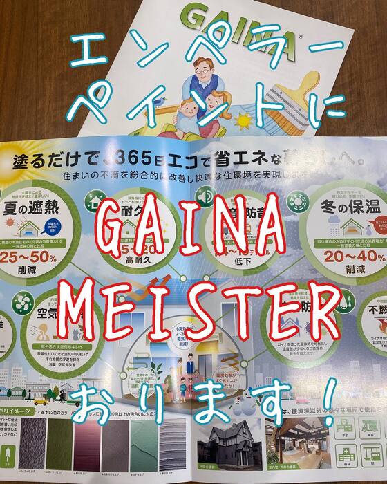 画像305
