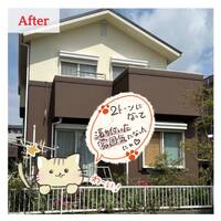 画像558
