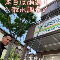 画像779