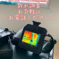 画像784