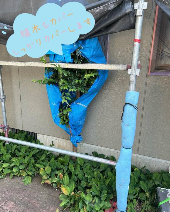 画像865