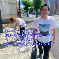 画像868