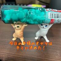 画像873
