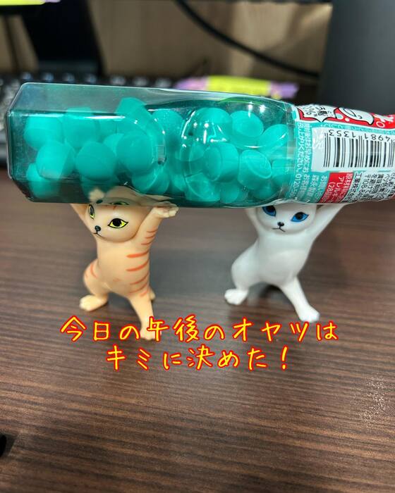 画像873