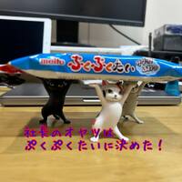 画像874